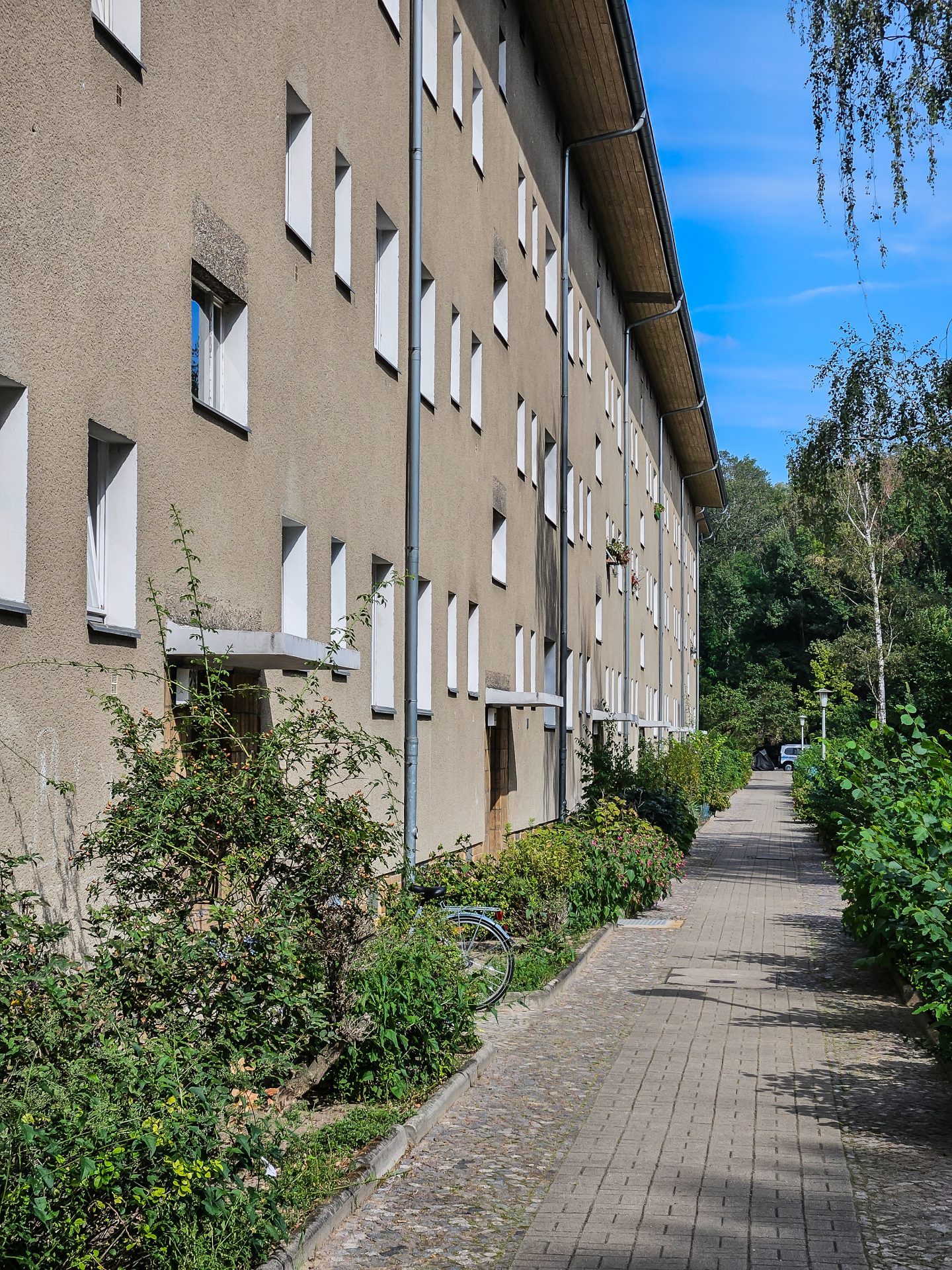 Einfamilienhaus an einem Gehweg, umgeben von grünen Büschen und Sträuchern, unter klarem Himmel.