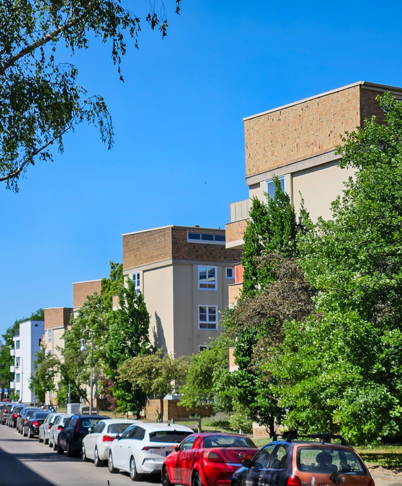 Moderne Wohnhäuser mit Bäumen und Autos an einer ruhigen Straße unter blauem Himmel.