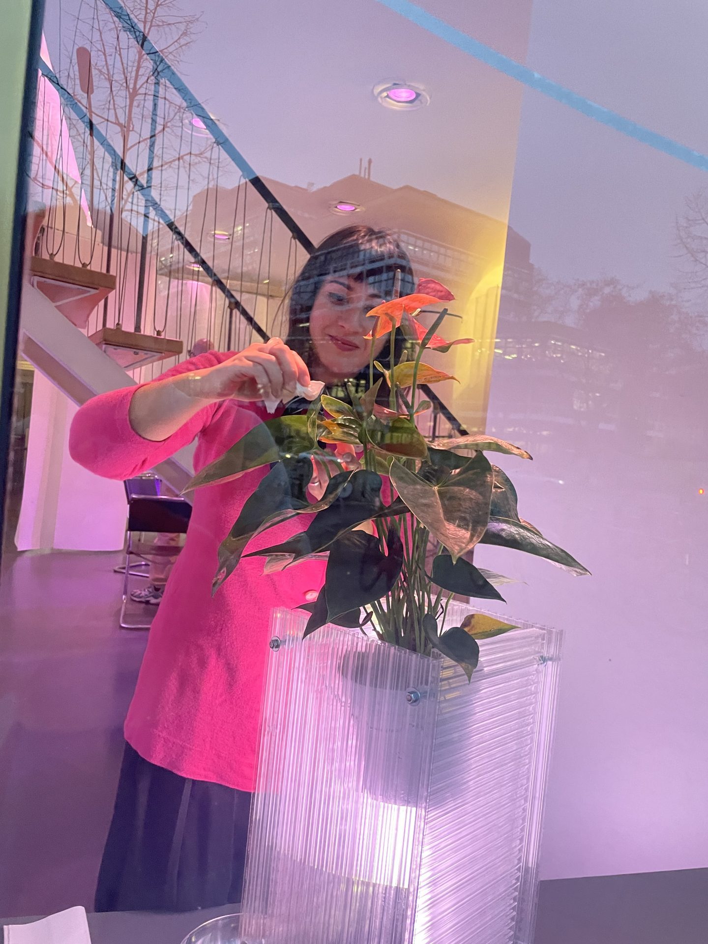 Frau in pinker Bluse, die eine Zimmerpflanze pflegt, vor modernem Innenraum.