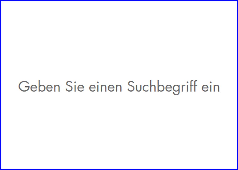 Text auf weißem Hintergrund: "Bitte einen Suchbegriff eingeben."